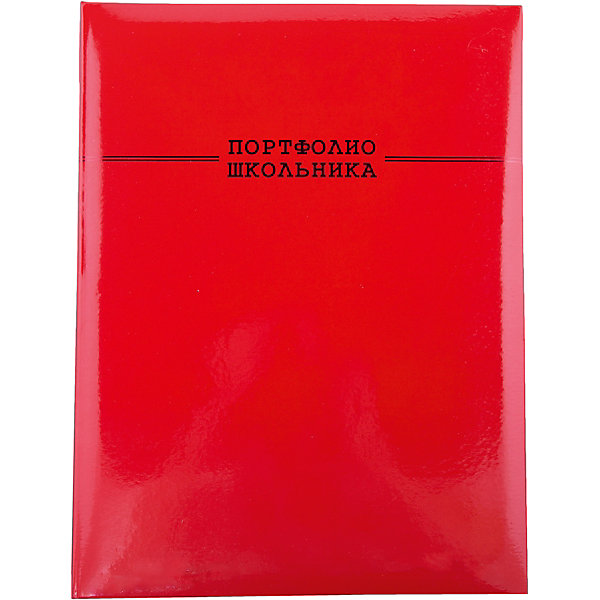 

Портфолио школьника Феникс+, красный