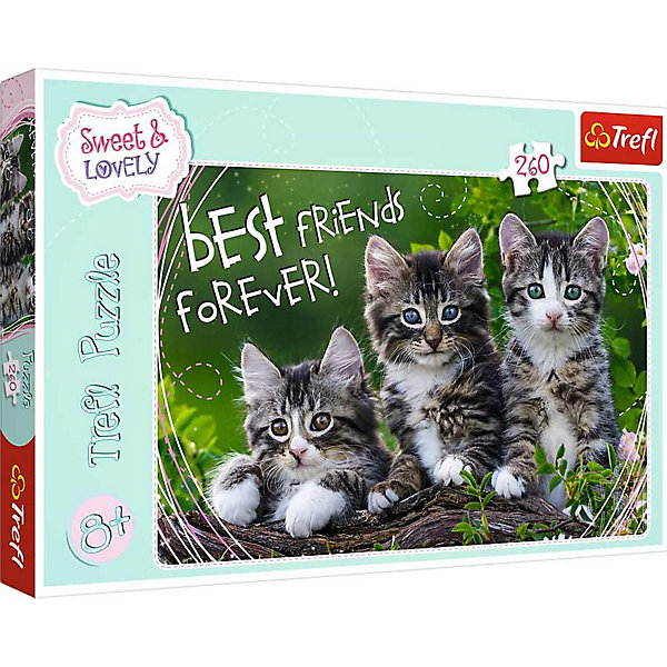 

Пазлы «Дружные котята», 260 деталей