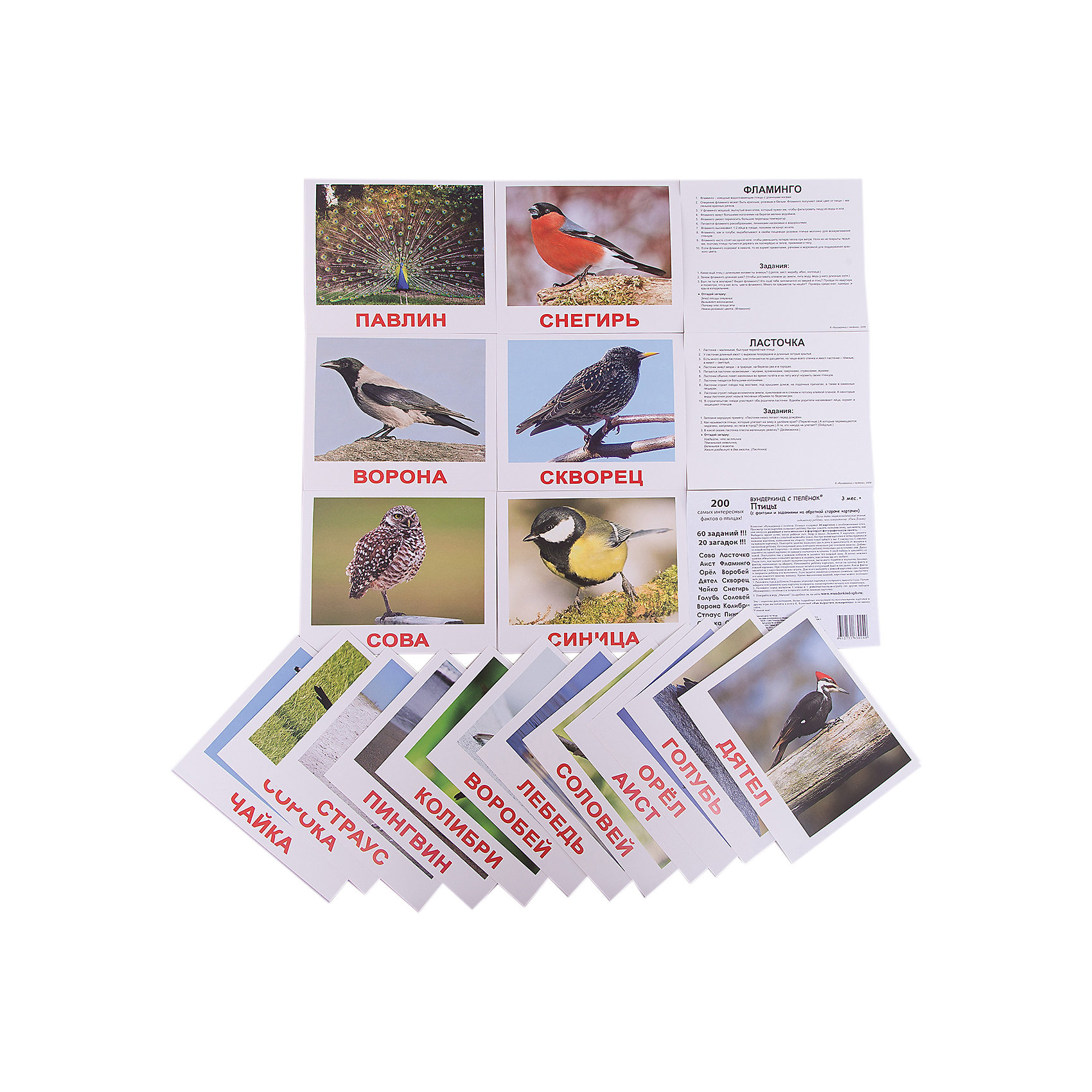 фото Набор обучающих карточек Вундеркинд с пелёнок "Птицы" 20 штук