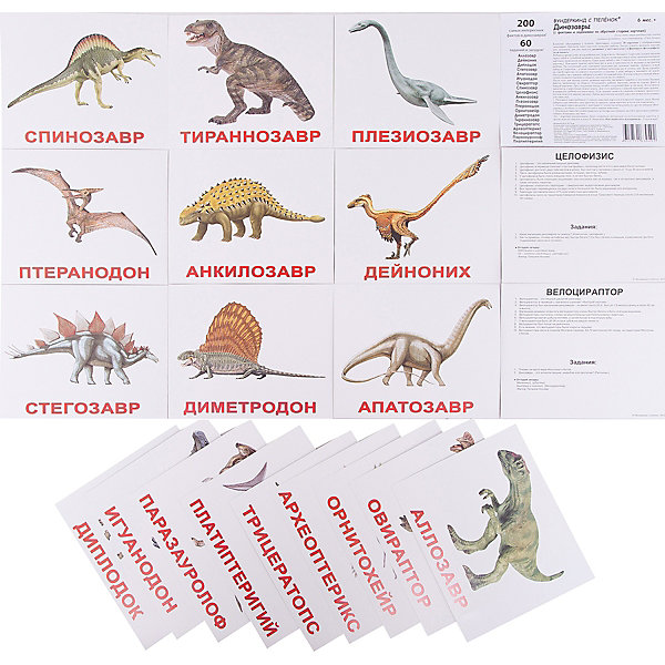 фото Набор обучающих карточек Вундеркинд с пелёнок "Динозавры" 20 штук