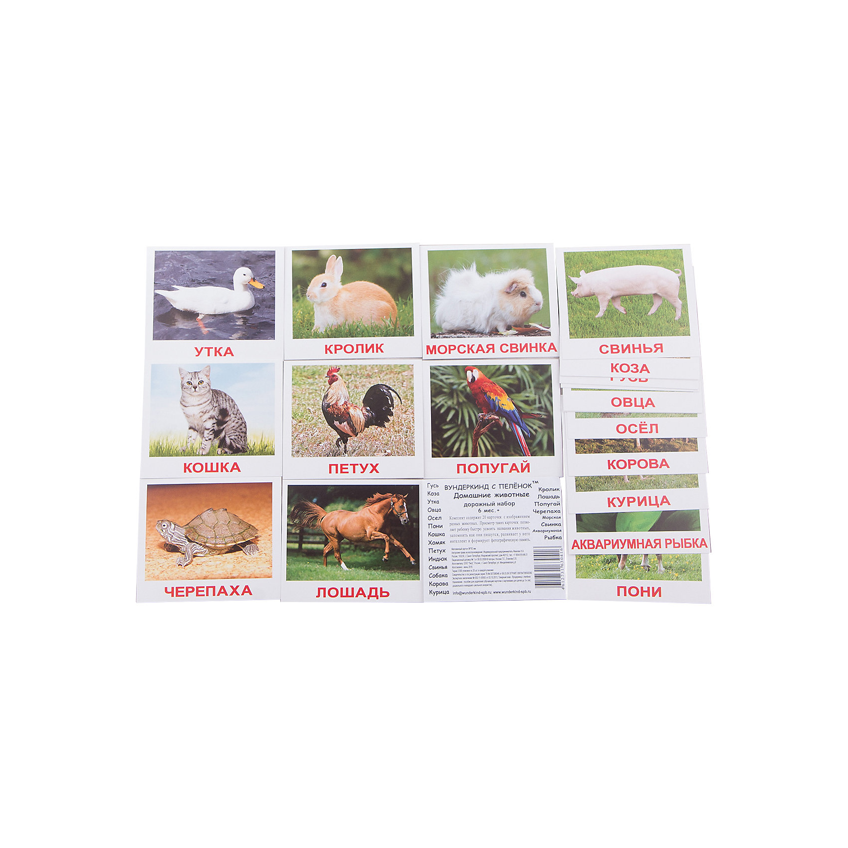 фото Набор обучающих мини-карточек Вундеркинд с пелёнок "Домашние животные" 20 штук