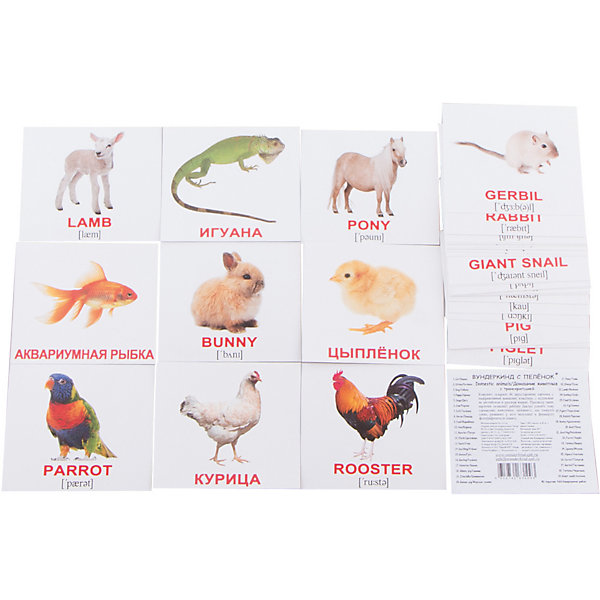 фото Набор обучающих мини-карточек Вундеркинд с пелёнок "Domestic animals/Домашние животные", двухсторонний 40 штук