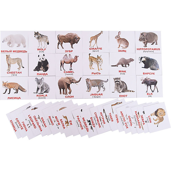 фото Набор обучающих мини-карточек Вундеркинд с пелёнок "Wild animals/Дикие животные", двухсторонний 40 штук