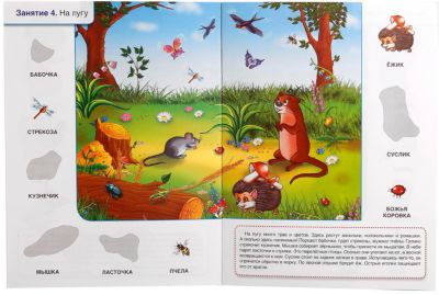 Купить Книгу Школа Жуковой Кто Где Живет