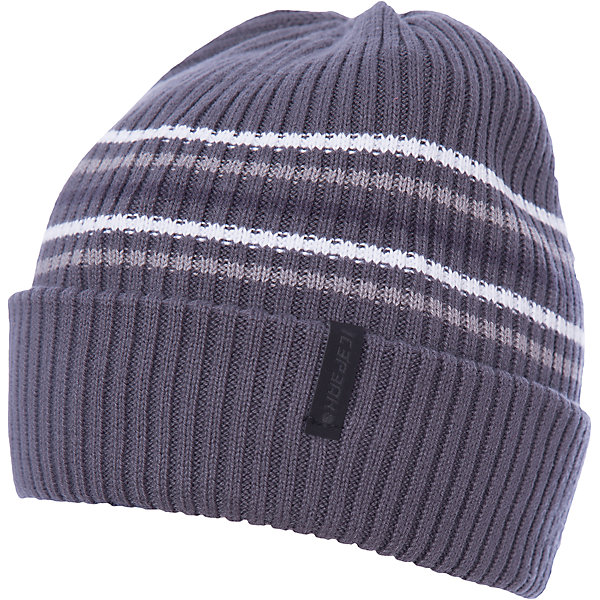 

Шапка ICEPEAK для мальчика, Серый