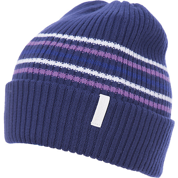 

Шапка ICEPEAK для мальчика, Синий
