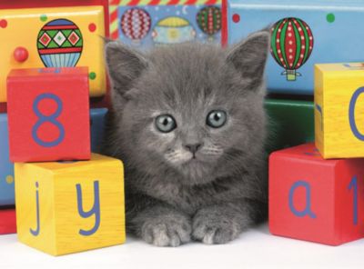 Пазл светящийся «Котенок с кубиками» XXL 200 шт, артикул:7376944 - Пазлы Пазл светящийся «Котенок с кубиками» XXL 200 шт, артикул:7376944 - Пазлы