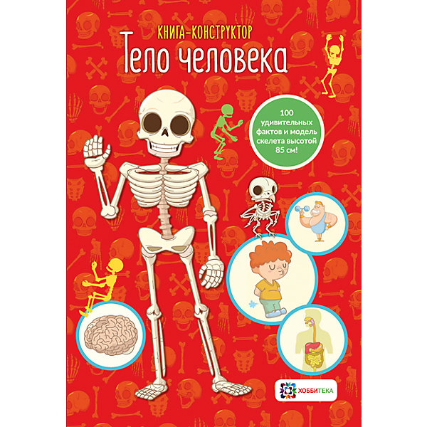 

Книга-конструктор "Тело человека"