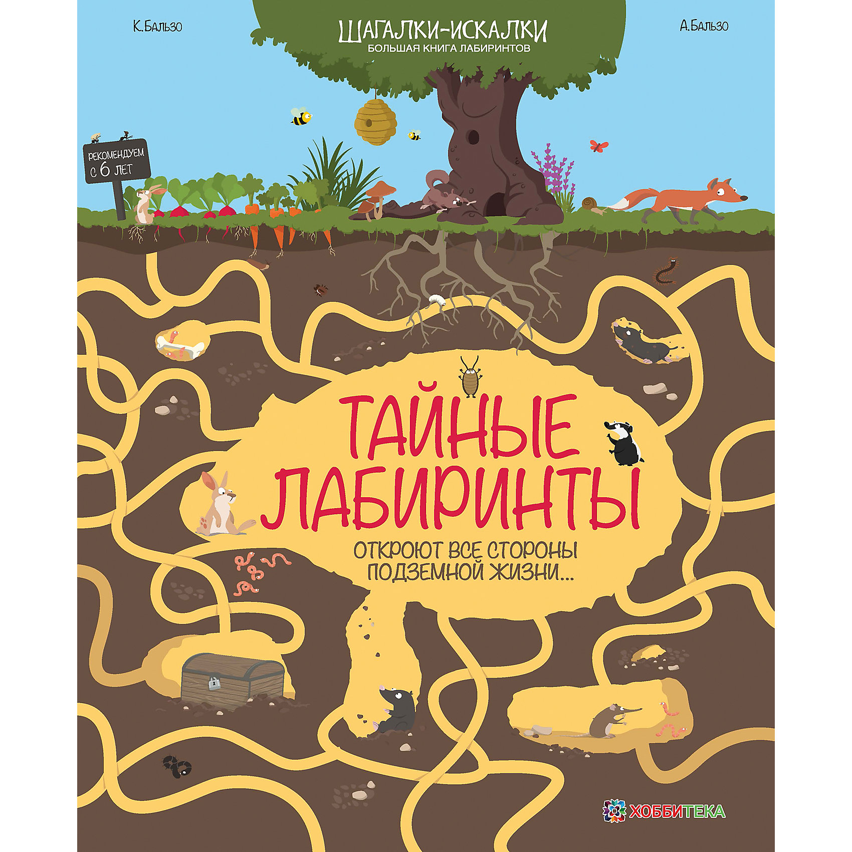 фото Большая книга лабиринтов "Тайные лабиринты" Аст-пресс