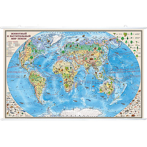 фото Карта "животный и растительный мир земли" 1:35м на рейках Издательство ди эм би