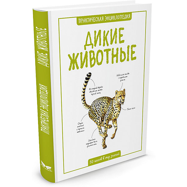 

Дикие животные