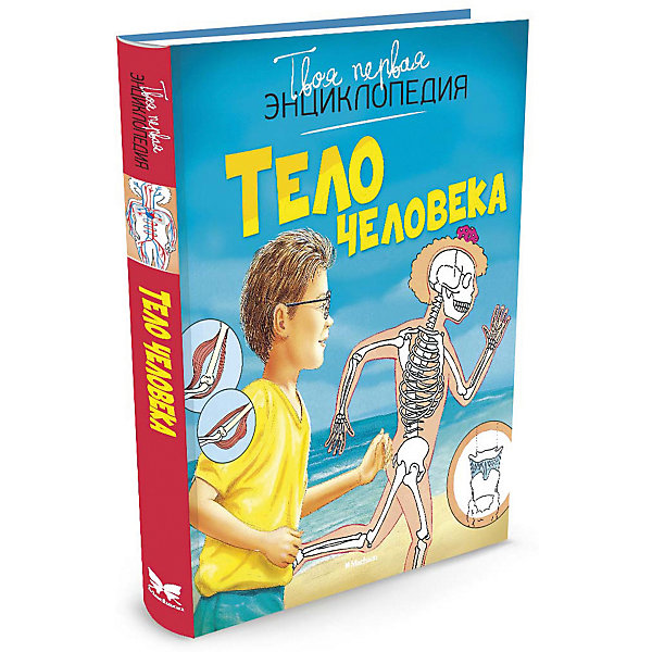 

Тело человека