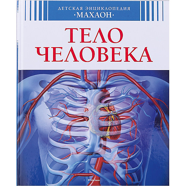 

Тело человека