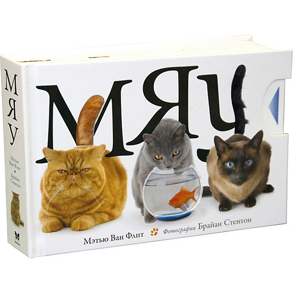 

Большая книга "Мяу" с двигающимися элементами