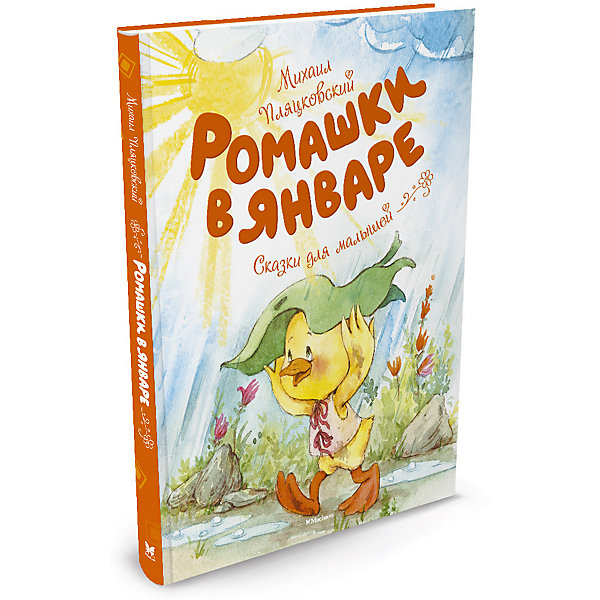 

Ромашки в январе