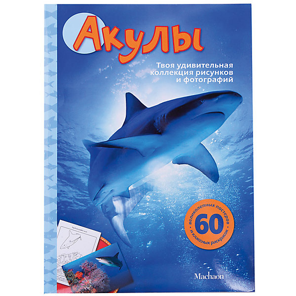 

Акулы