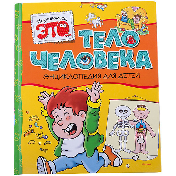 

Тело человека