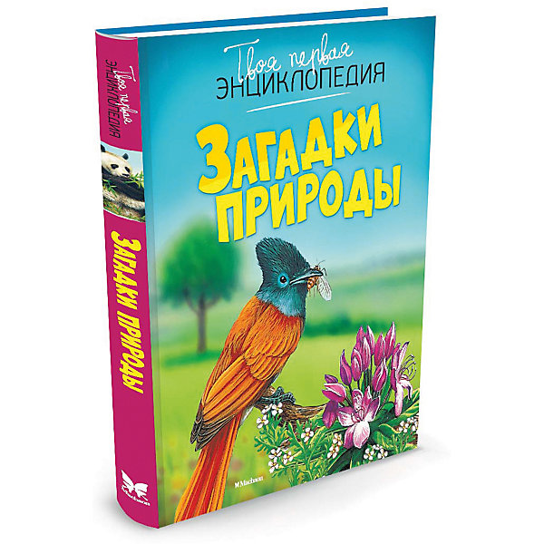 

Загадки природы