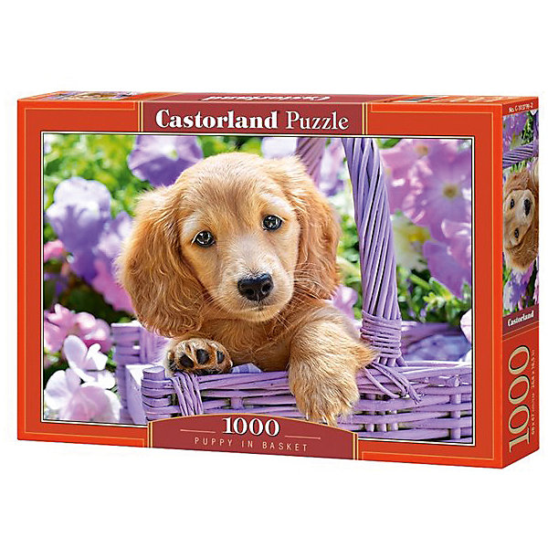 

Пазл Castorland "Щенок в корзине" 1000 деталей