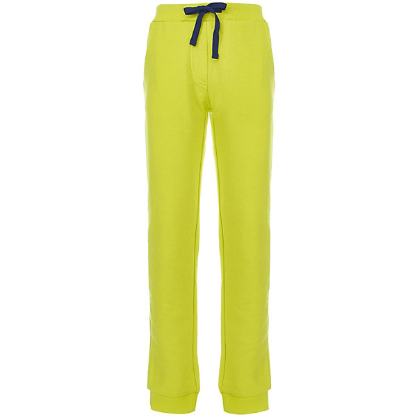 

Спортивные брюки Button Blue, Зеленый