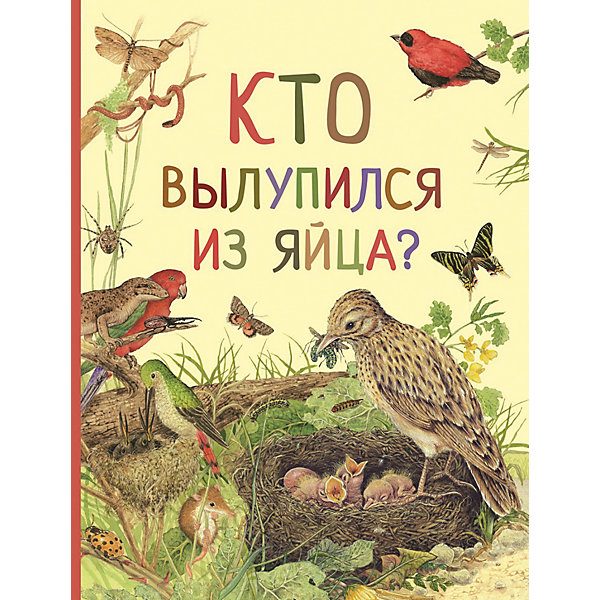 

Удивительный мир животных "Кто вылупился из яйца"