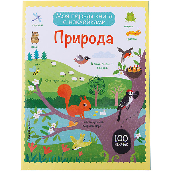 

Книжка с наклейками "Природа", 100 наклеек