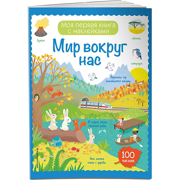 

Книжка с наклейками "Мир вокруг нас", 100 наклеек