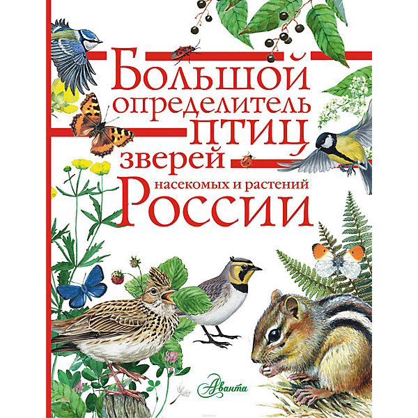 фото Энциклопедия "Большой определитель птиц, зверей, насекомых и растений России" Издательство аст