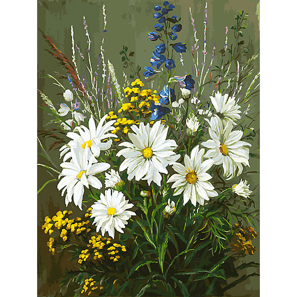 

Картина по номерам Белоснежка «Полевые ромашки», 30x40 см