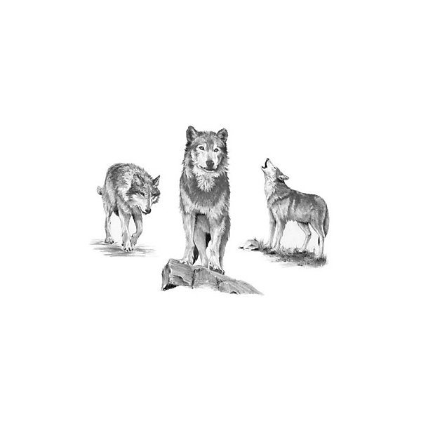 фото Картина-эскиз по номерам карандашами Royal&Langnickel "Волки", 28,5х39 см