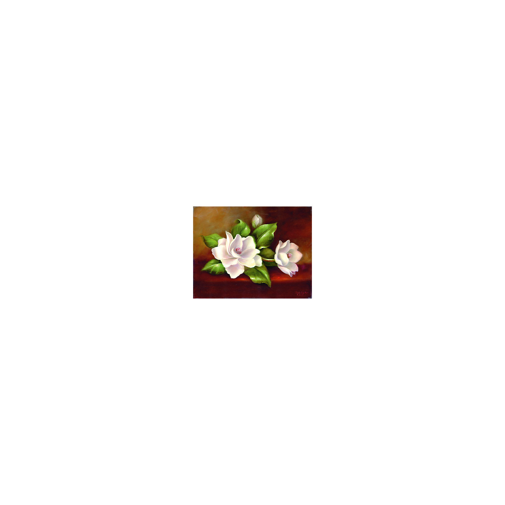 фото Картина по номерам на холсте Гризайль Royal&Langnickel "Магнолия", 28х35 см