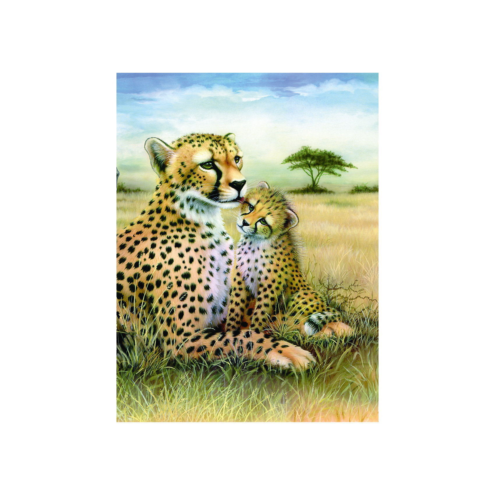 Раскраска по номерам леопард