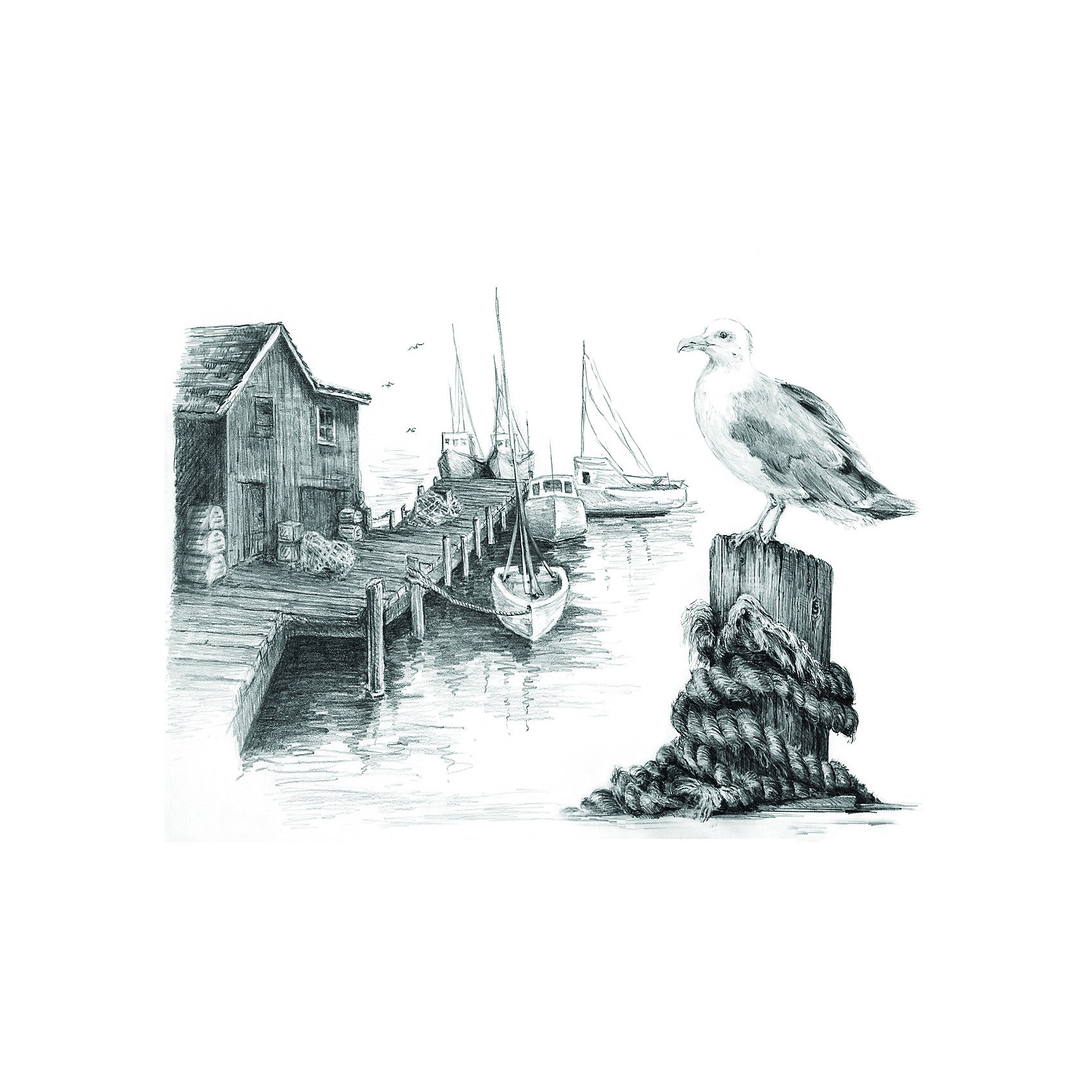 фото Картина-эскиз по номерам карандашами Royal&Langnickel "Чайка", 22х29 см
