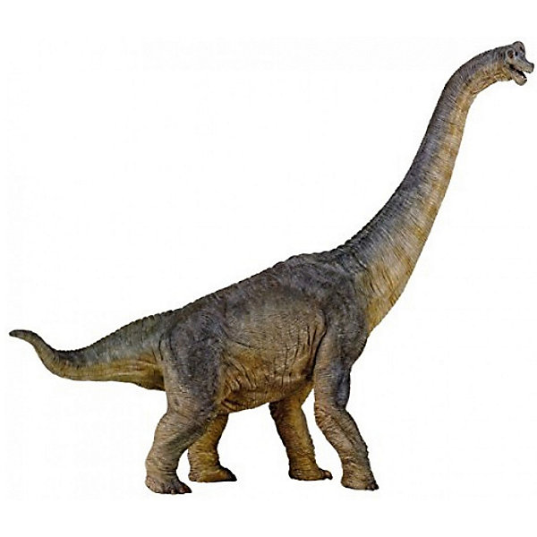 фото Коллекционная фигурка PaPo Брахиозавр