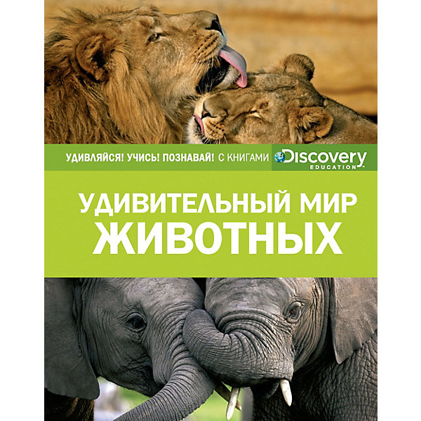 

Энциклопедия "Discovery Education" Удивительный мир животных