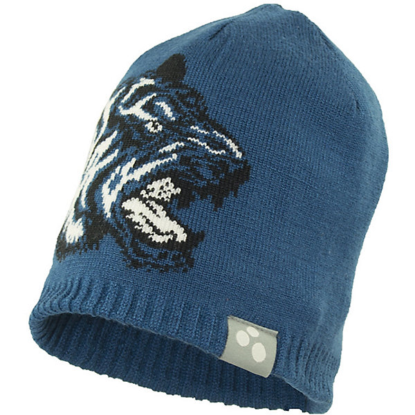 

Шапка TIGERY HUPPA для мальчика, Бирюзовый