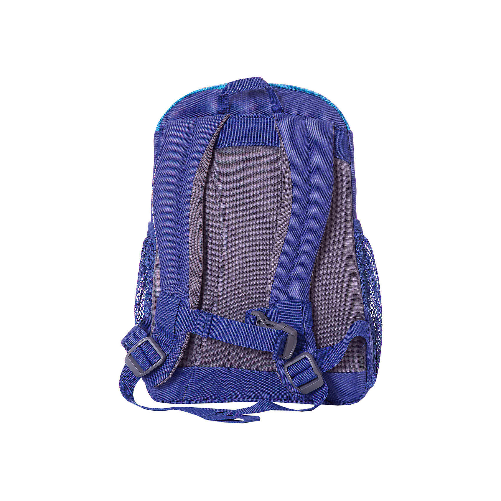 фото Рюкзак Deuter Pico "Дельфин", бирюзовый