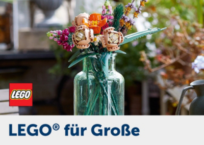 Atemberaubende LEGO® Sets für Erwachsene