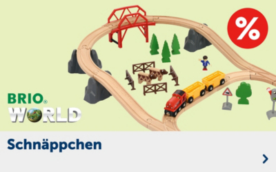 BRIO Schnäppchen