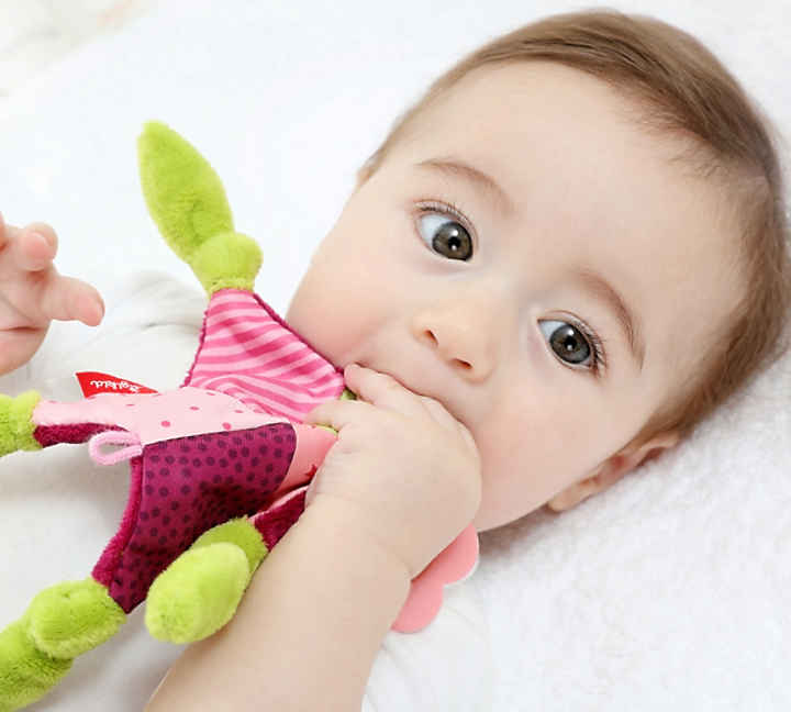 Babyspielzeug Ab 0 6 Monate Online Kaufen Mytoys Mytoys