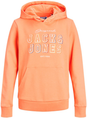 12176859 Jack & Jones Jungen Junior Sweater Sweatshirt  NEU 128 140 152 164 176
