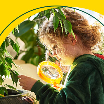 App Story: Lernen & Entdecken