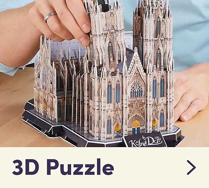 3D Puzzle