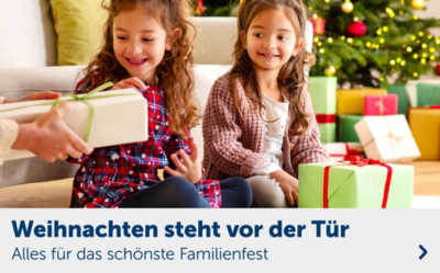 Adventskalender 2021 Adventskalender Fur Kinder Gunstig Kaufen Mytoys