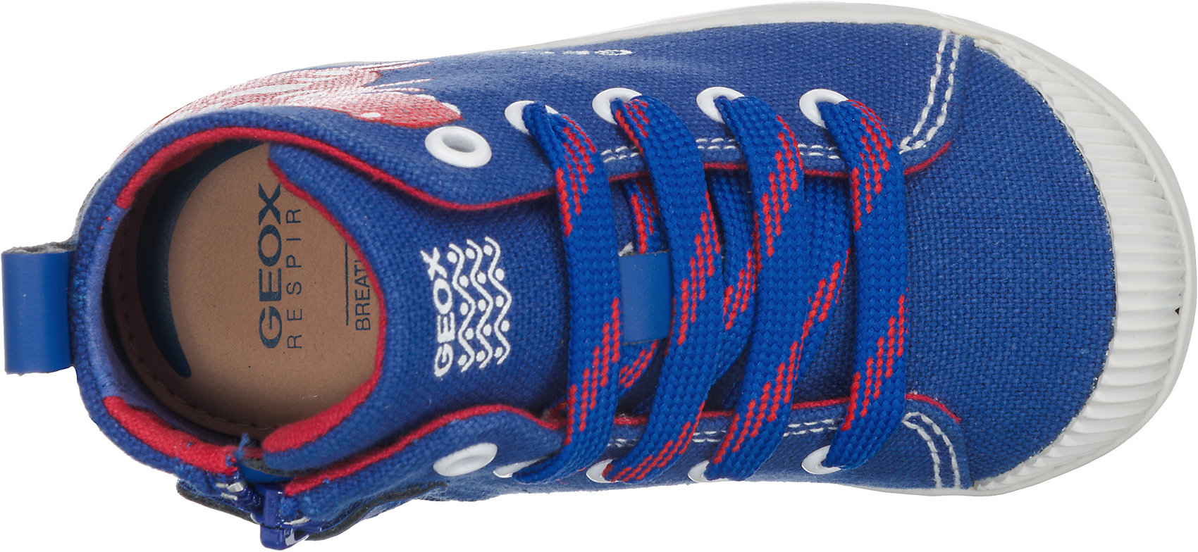 Details zu Neu GEOX Lauflernschuhe KILWI für Jungen, Dino 7209631 für Jungen blau Details zu Neu GEOX Lauflernschuhe KILWI für Jungen, Dino 7209631 für Jungen blau
