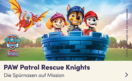 Paw Patrol Rescue Knights