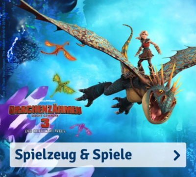 Astrid Dragons Kostüm