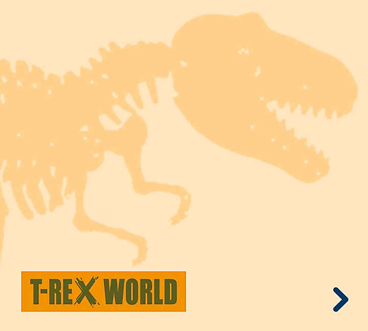 Die Spiegelburg - T-Rex World
